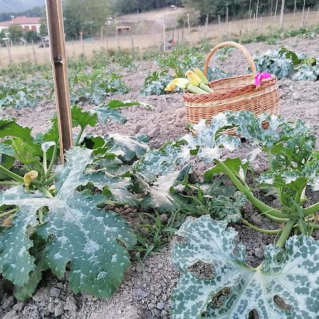 Agriturismo Dei Legi San Pietro Vara 外观 照片