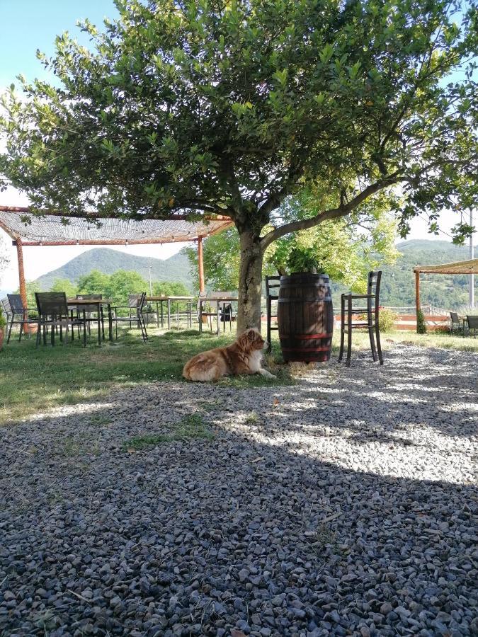 Agriturismo Dei Legi San Pietro Vara 外观 照片