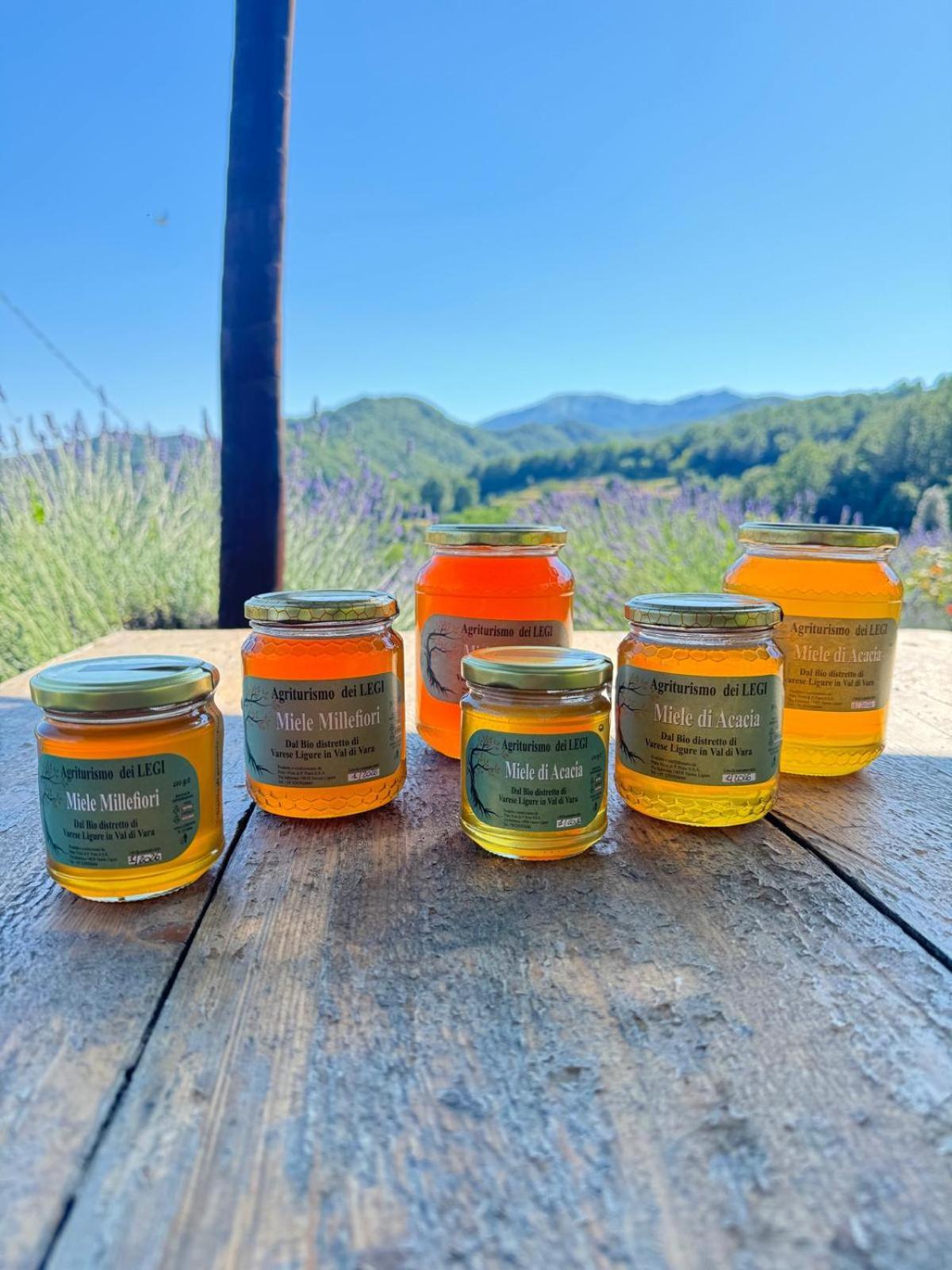 Agriturismo Dei Legi San Pietro Vara 外观 照片