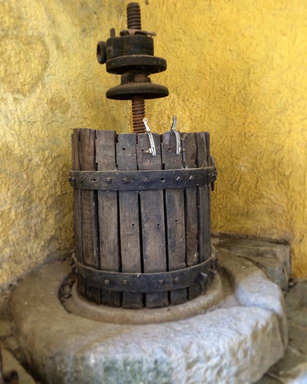 Agriturismo Dei Legi San Pietro Vara 外观 照片