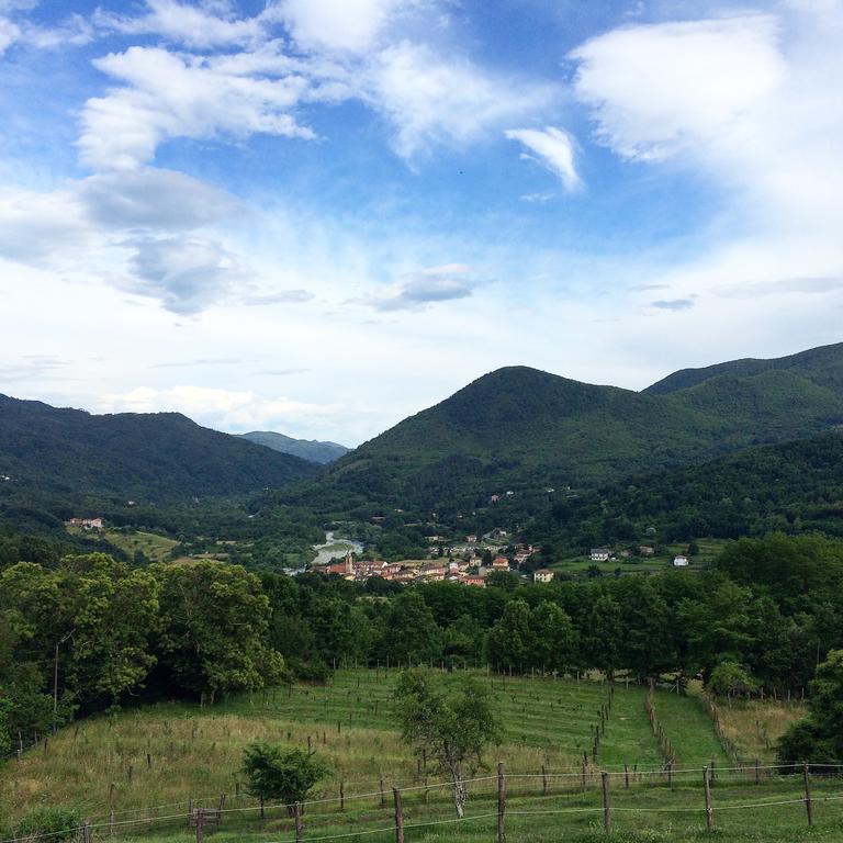Agriturismo Dei Legi San Pietro Vara 外观 照片