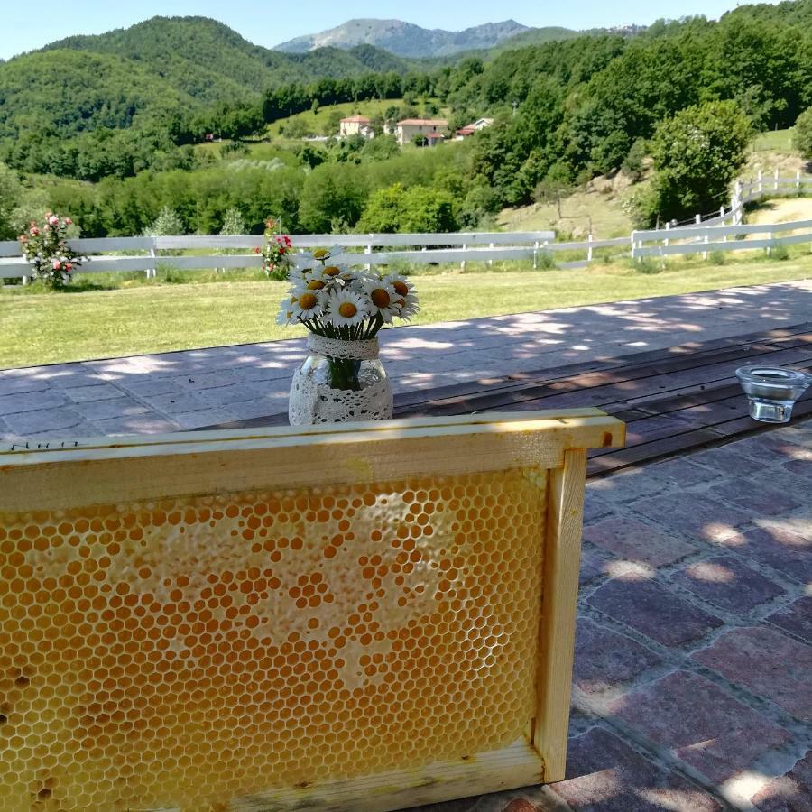 Agriturismo Dei Legi San Pietro Vara 外观 照片