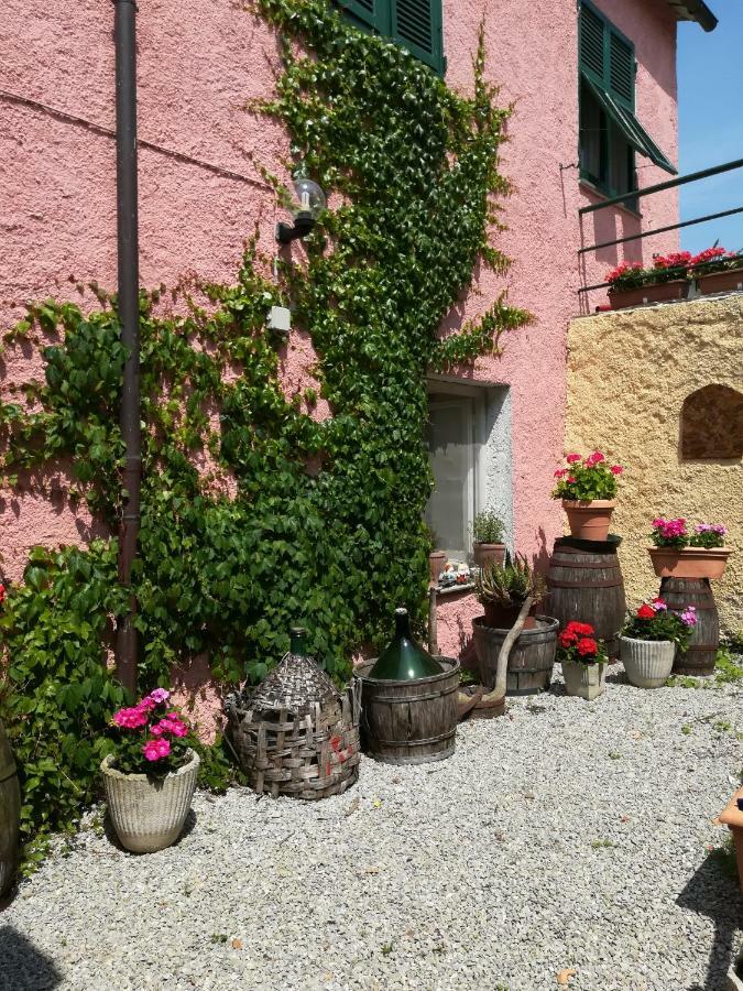 Agriturismo Dei Legi San Pietro Vara 外观 照片