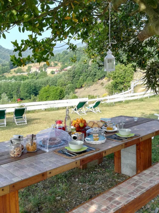 Agriturismo Dei Legi San Pietro Vara 外观 照片