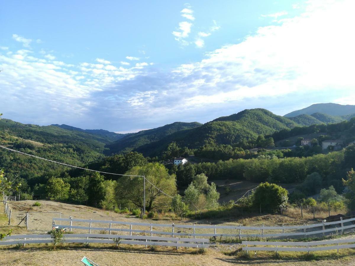 Agriturismo Dei Legi San Pietro Vara 外观 照片