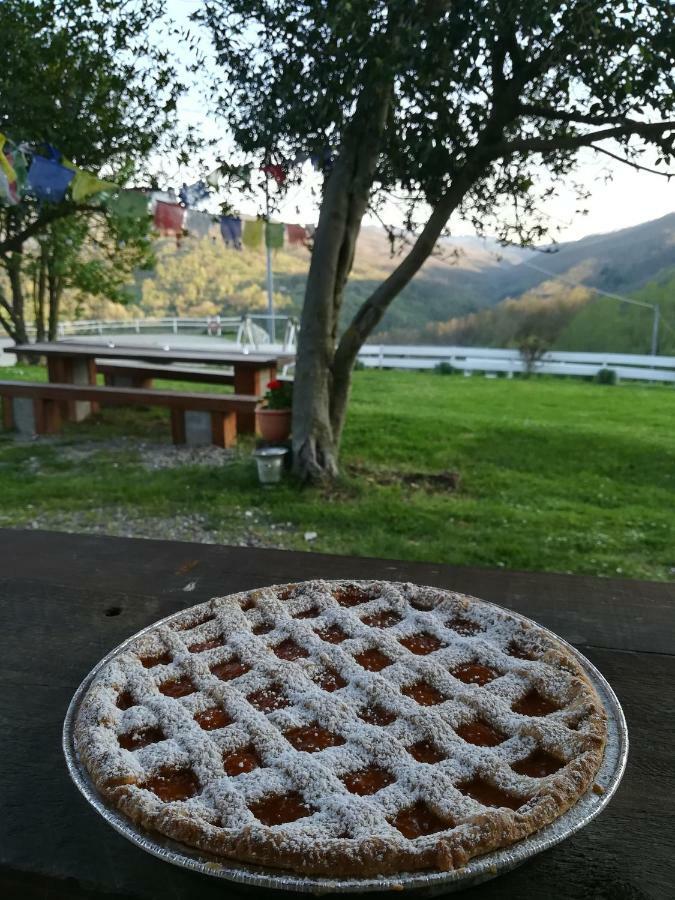 Agriturismo Dei Legi San Pietro Vara 外观 照片