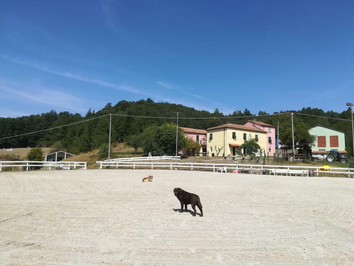 Agriturismo Dei Legi San Pietro Vara 外观 照片